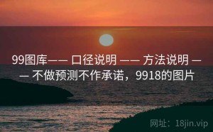 99图库—— 口径说明 —— 方法说明 —— 不做预测不作承诺，9918的图片