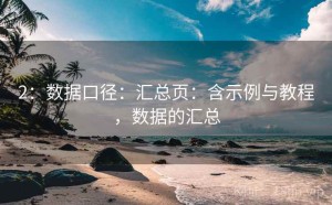 2：数据口径：汇总页：含示例与教程，数据的汇总