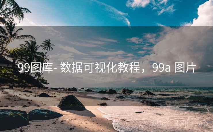 99图库- 数据可视化教程，99a 图片