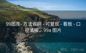 99图库- 方法说明 - 可复现 - 看板 - 口径清晰，99a 图片